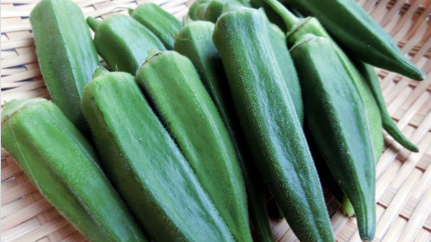 �x�W���C�t,�H��,���n���H���@��,������