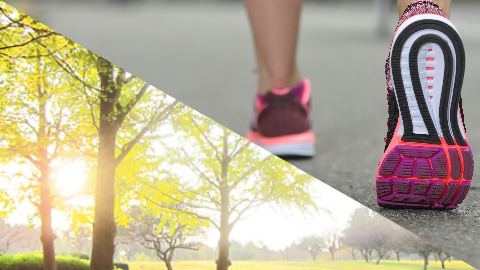 �x�W���C�t,�^��,�W���M���O,���ʓI,��,�󕠎�