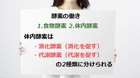 �y�f,����,�H���y�f,�̓��y�f,�����y�f,��Ӎy�f,�d�g��,����